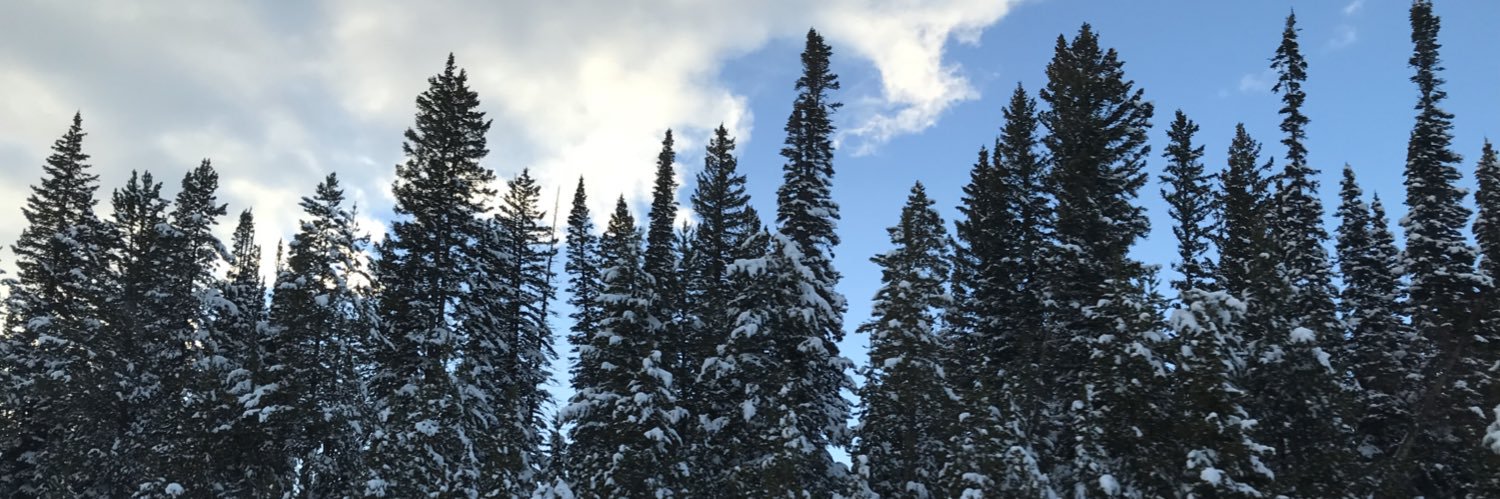 BurdellWidgery's profile banner image