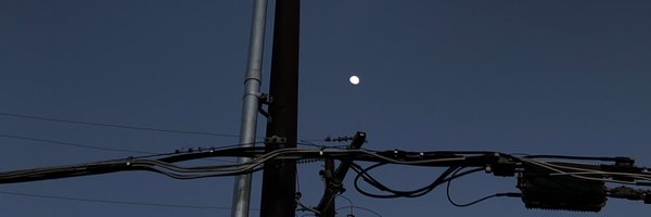 anasogon Profile Banner