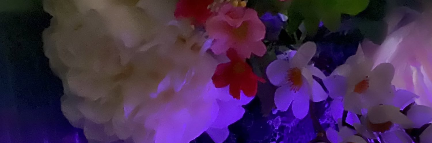moon9low's profile banner image