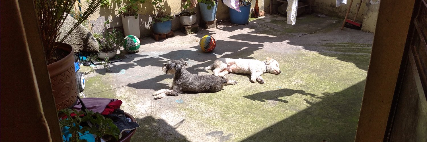 Marco Cevallos banner