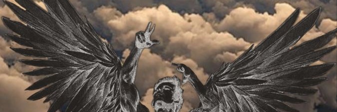 waruhpath banner