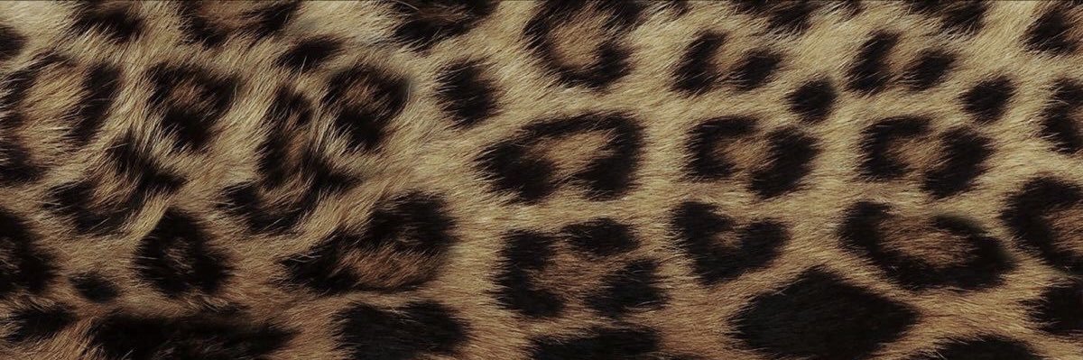 luqq4sz's profile banner image