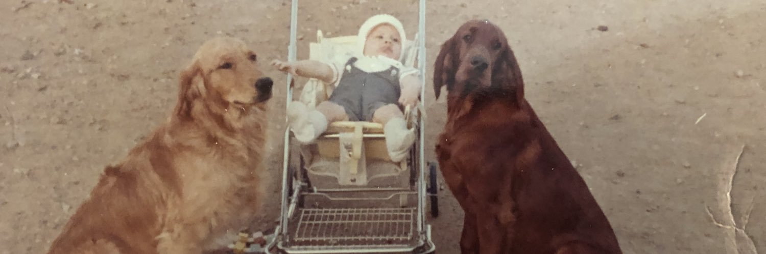 bobsheesley's profile banner image