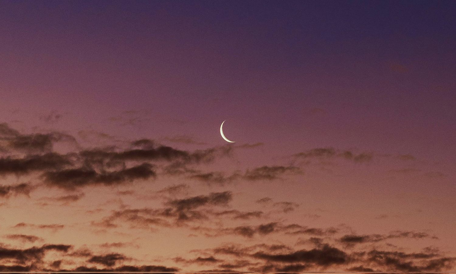 cake stroberi banner