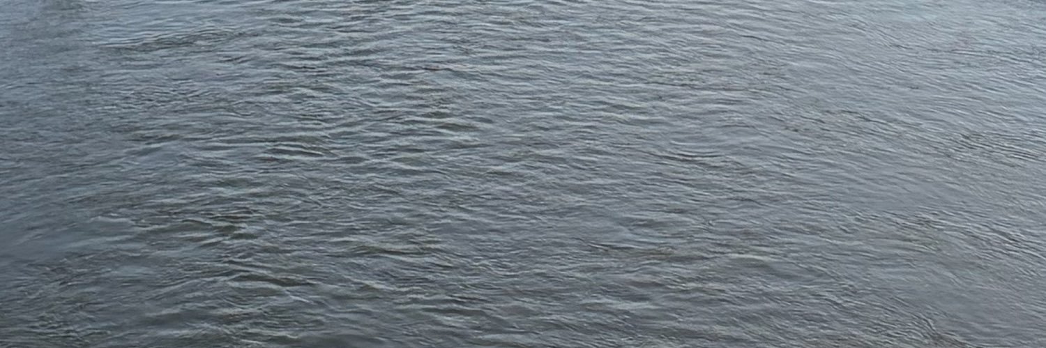 わいやんぐ banner