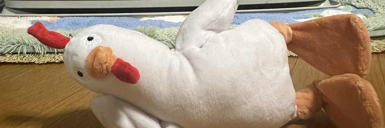 東城現像所🧸's banner