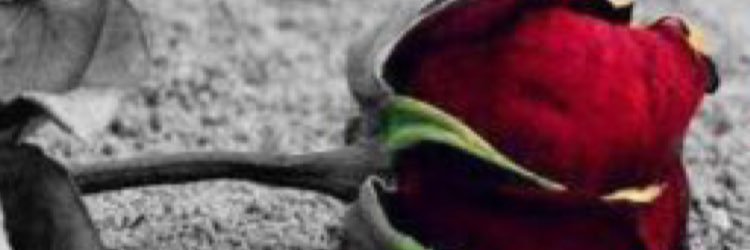 305Mroe's profile banner image