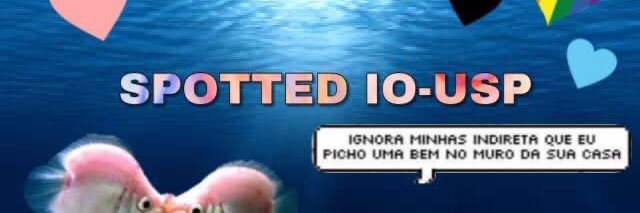 Spotted IO USP banner