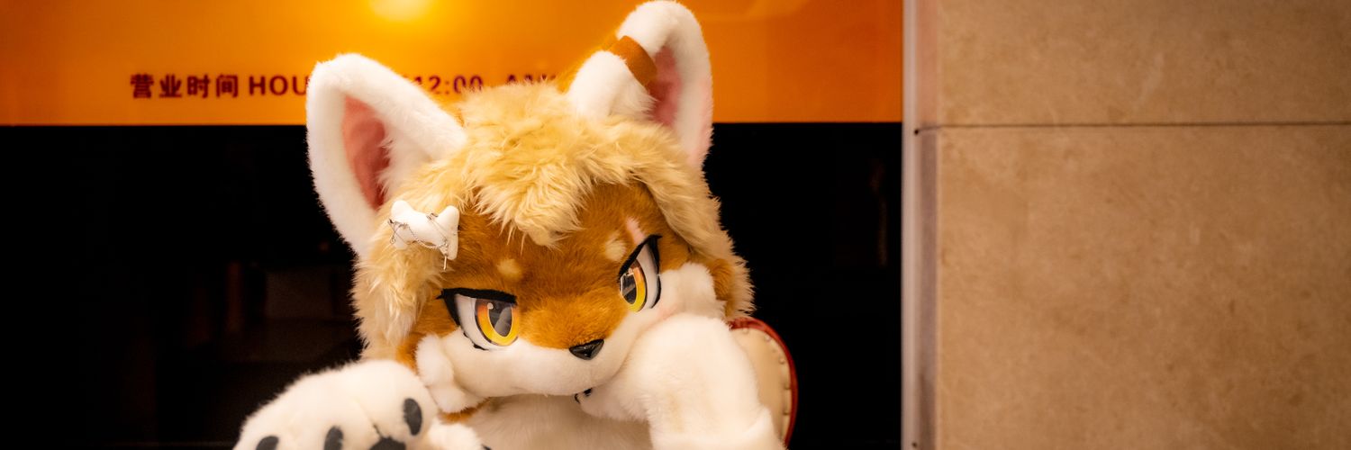 晨凌-EXE banner