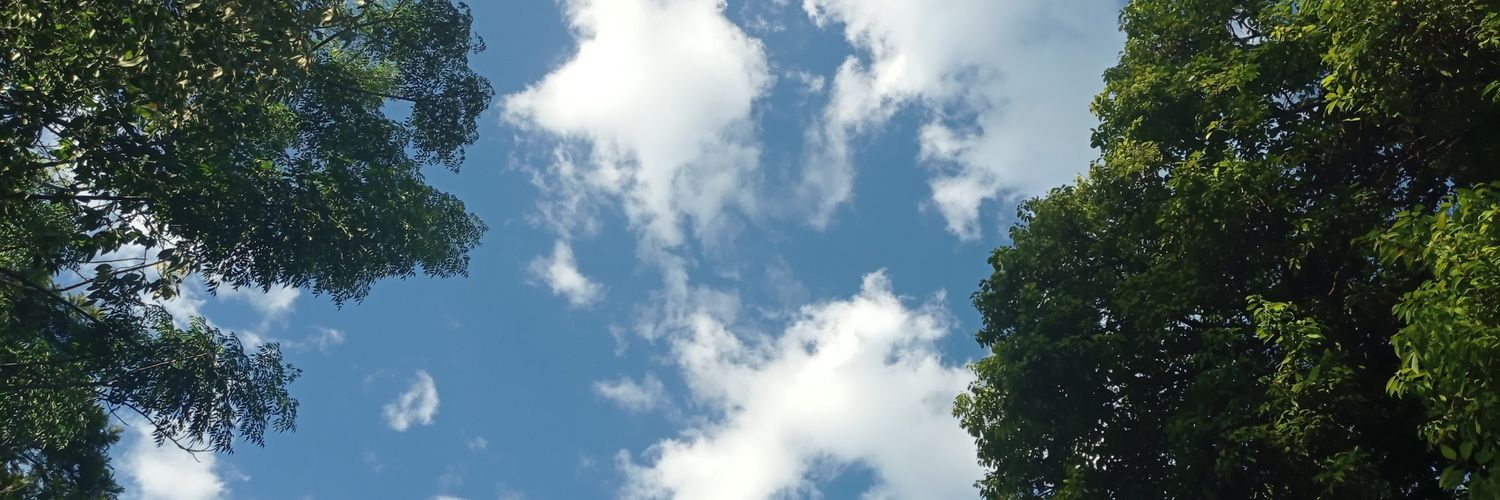 S7asiukBryan's profile banner image