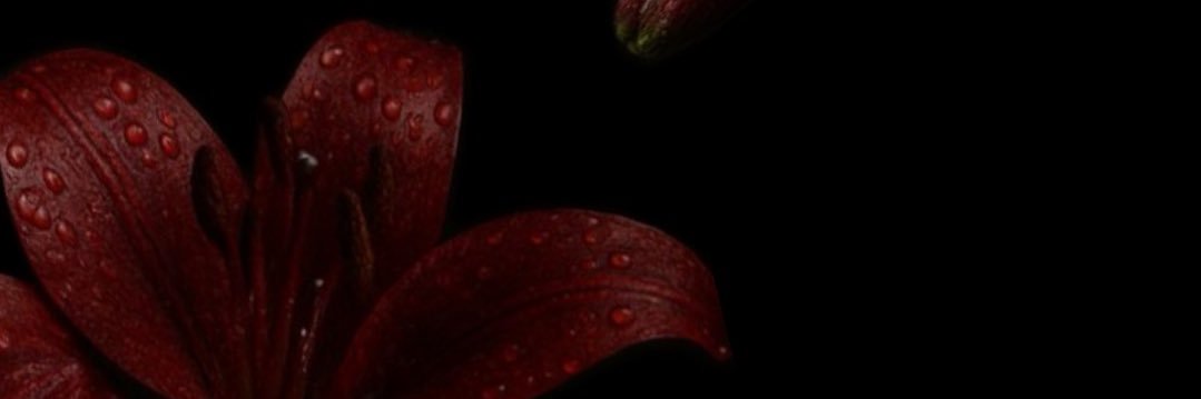 Trishaircool's profile banner image