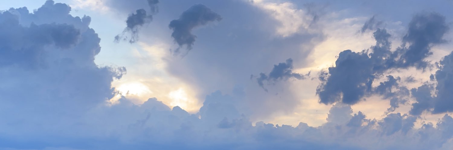 carissavera's profile banner image