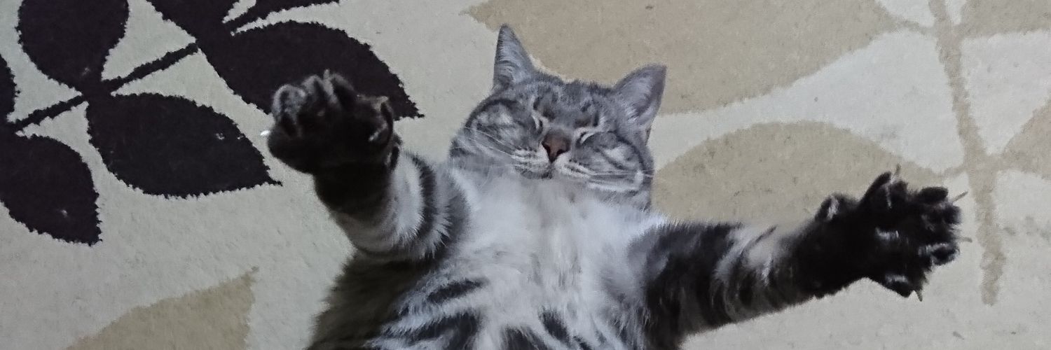 Ebanns12's profile banner image