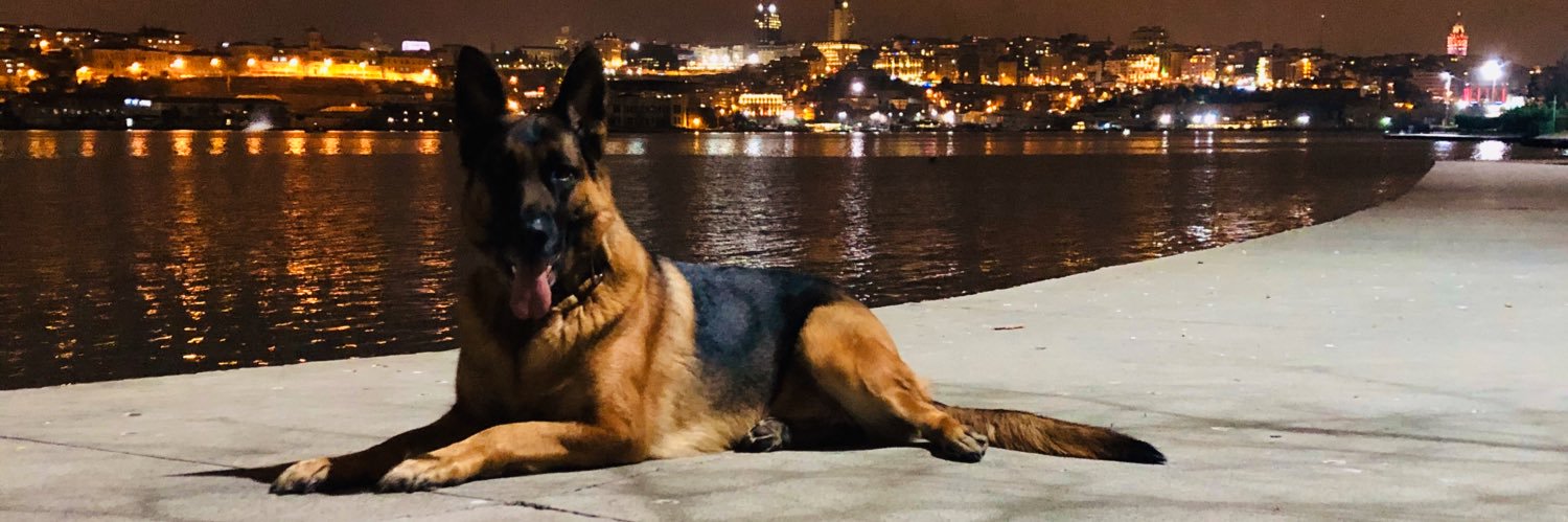 bugragursoy's profile banner image