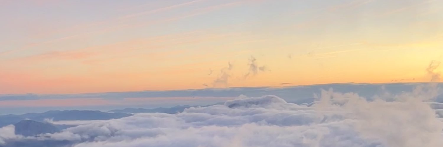hard&soft banner
