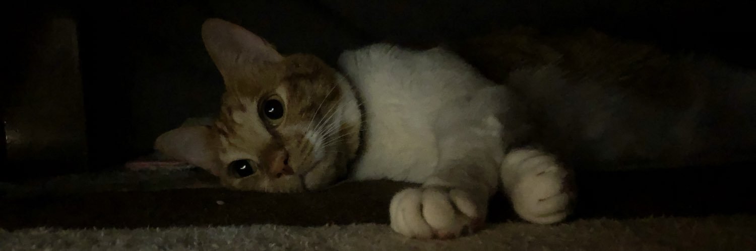 siogouwr's profile banner image
