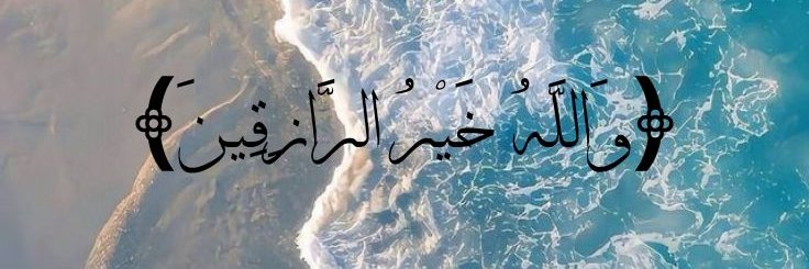 P_S13371's profile banner image