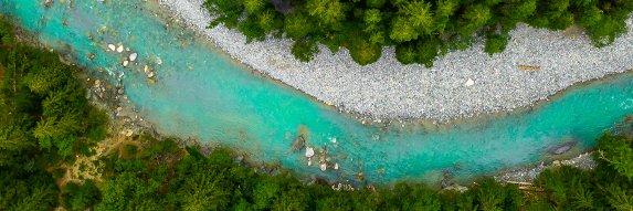 Coho Climate Advisors banner