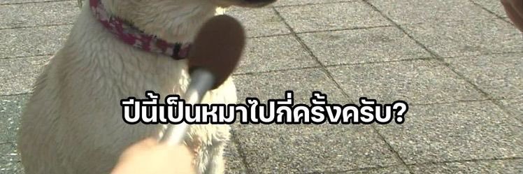sช๓ (bio) banner