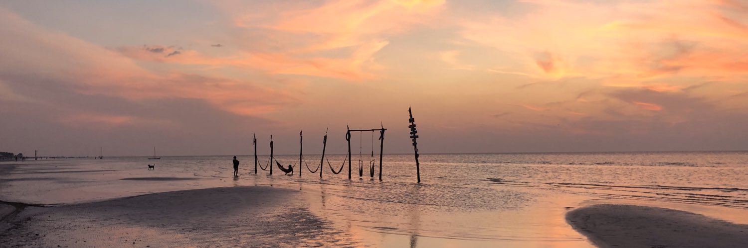 MaripauGuzman's profile banner image