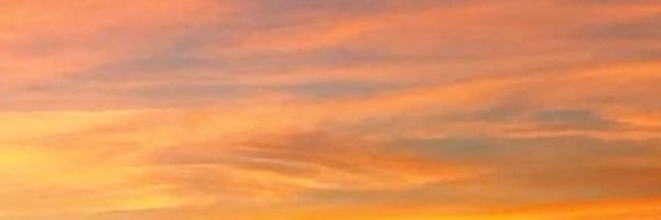 hanniesideup Profile Banner