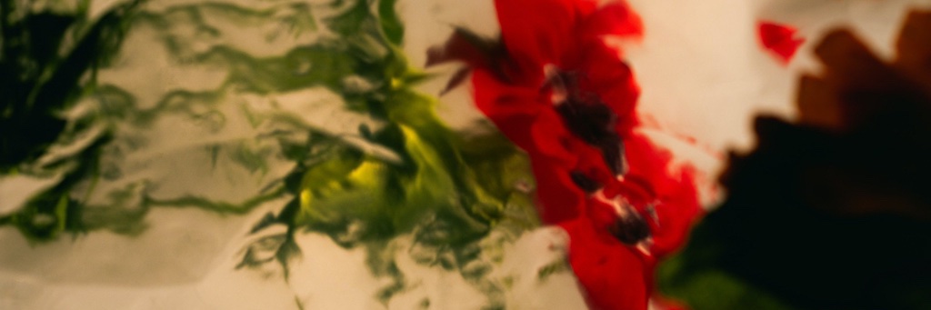 georgienomad's profile banner image