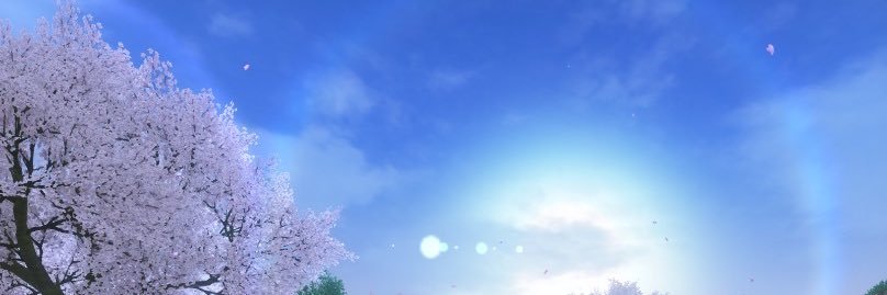 noa_aon137's profile banner image