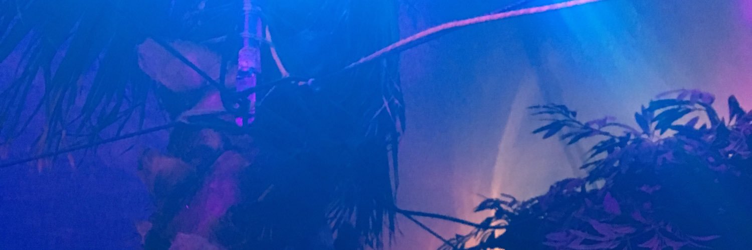 Doylestyle's profile banner image
