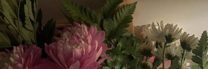 Krystal. banner