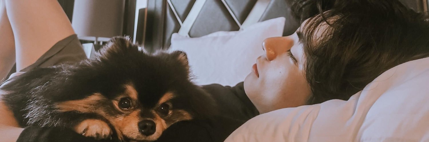 alexandrachiaa's profile banner image