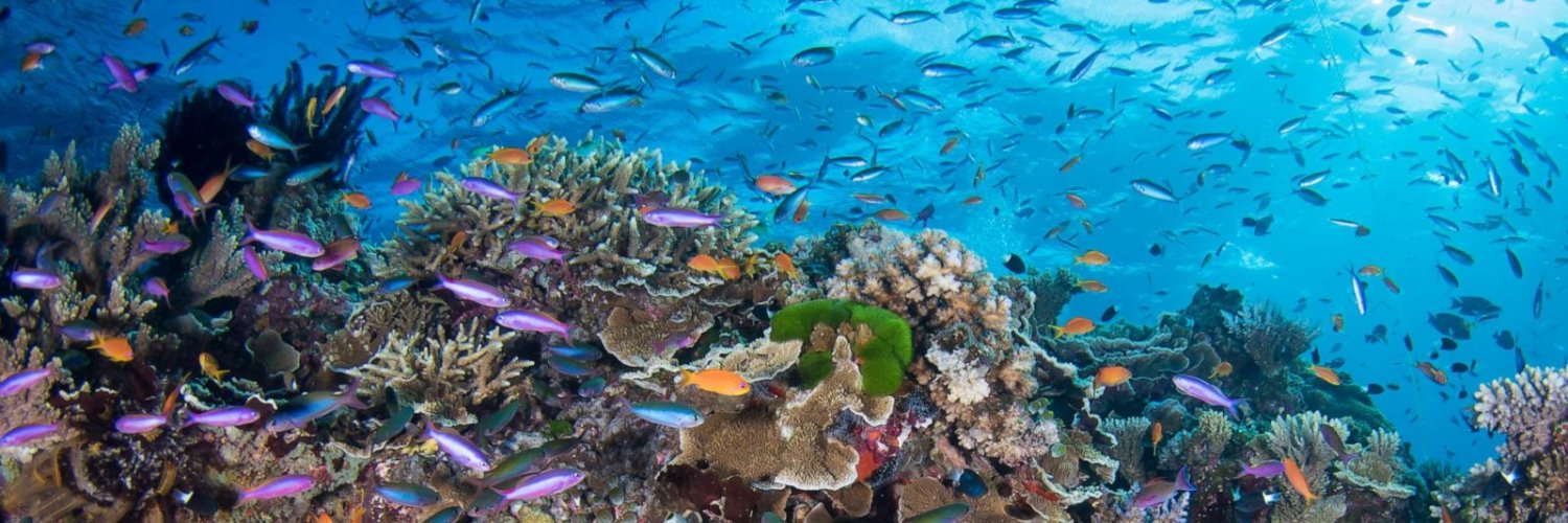 🦑 squid_game 🔺🟣🟨 banner