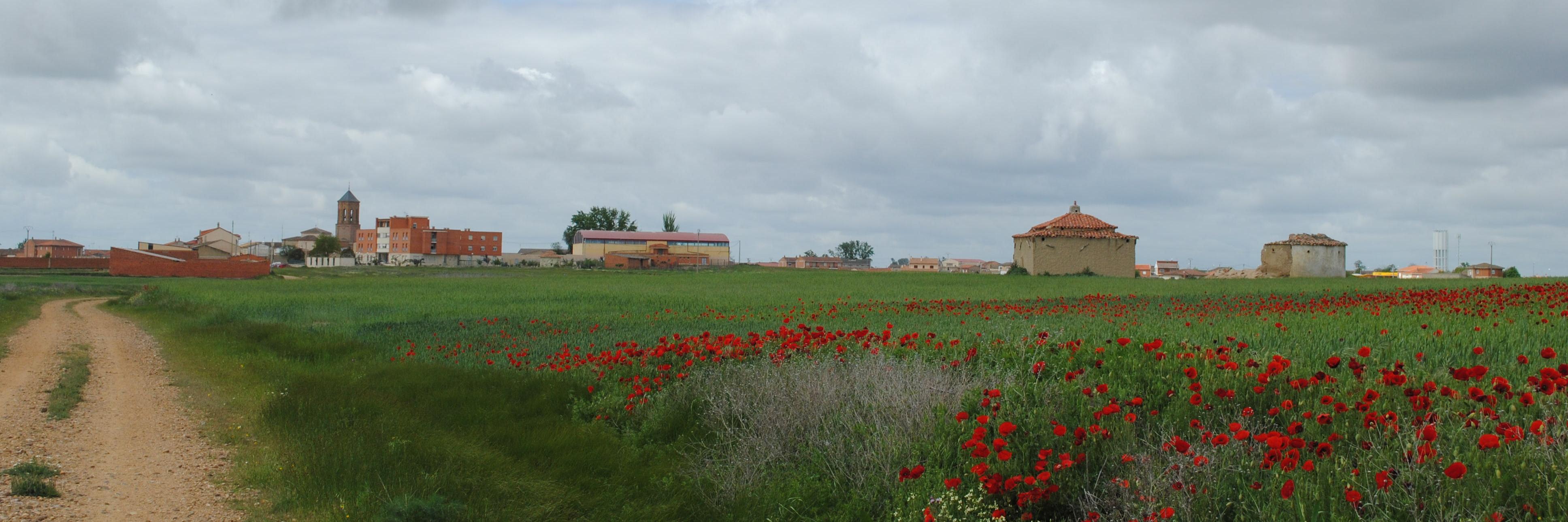 Roberrekalde's profile banner image