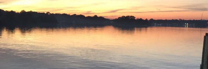 ☘️Cool Hand Coop☘️ banner