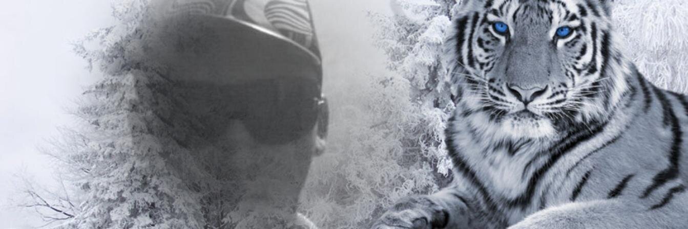 24gato's profile banner image