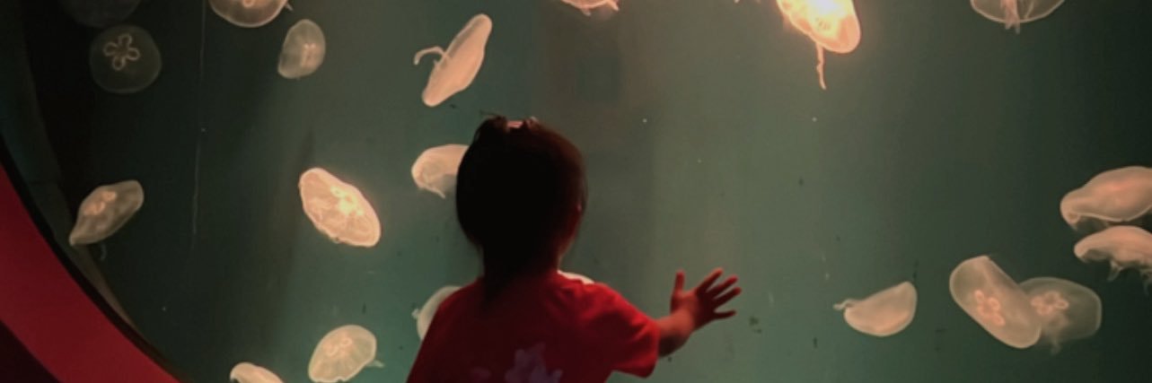 norisyaothman's profile banner image