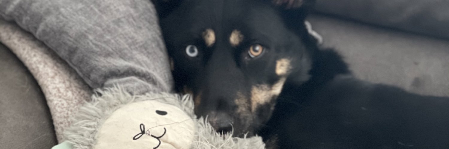 brianneyoho's profile banner image