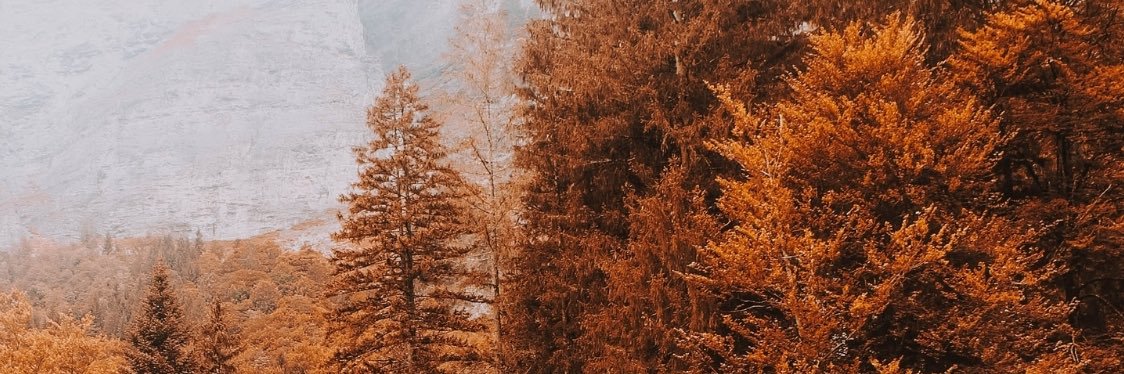 NYOutcast's profile banner image