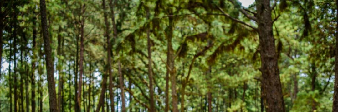 dekems's profile banner image