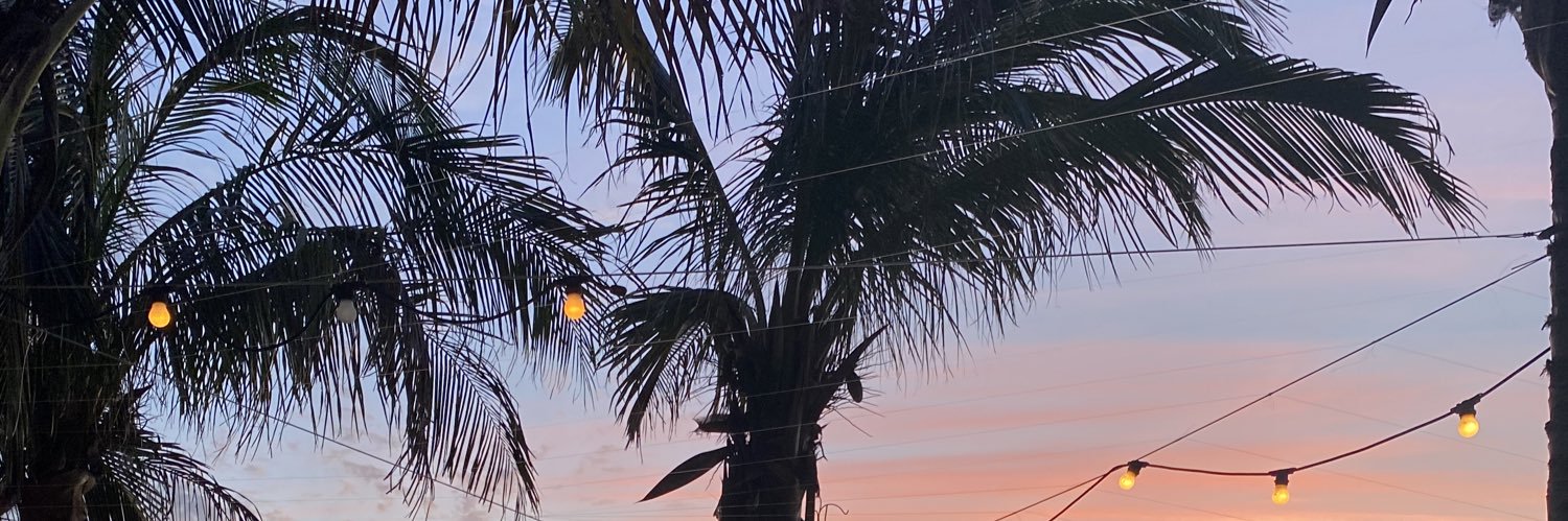 ariijarviss's profile banner image