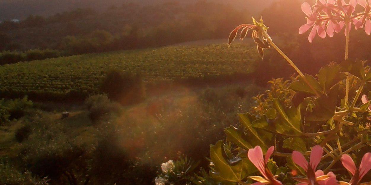 tweetkmo's profile banner image
