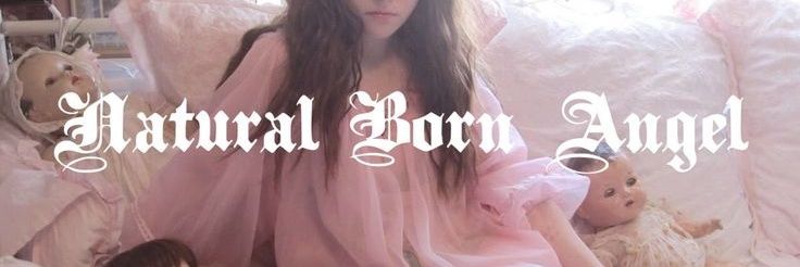 vi (WOR$T lalleshwari IN AMERICA) banner