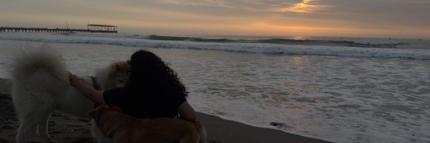 Caroline25sn's profile banner image
