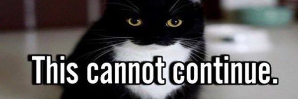 ndogid Profile Banner