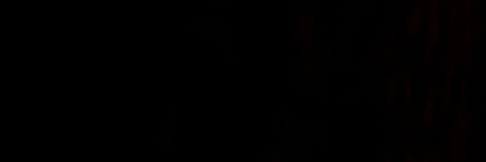 RIFO banner