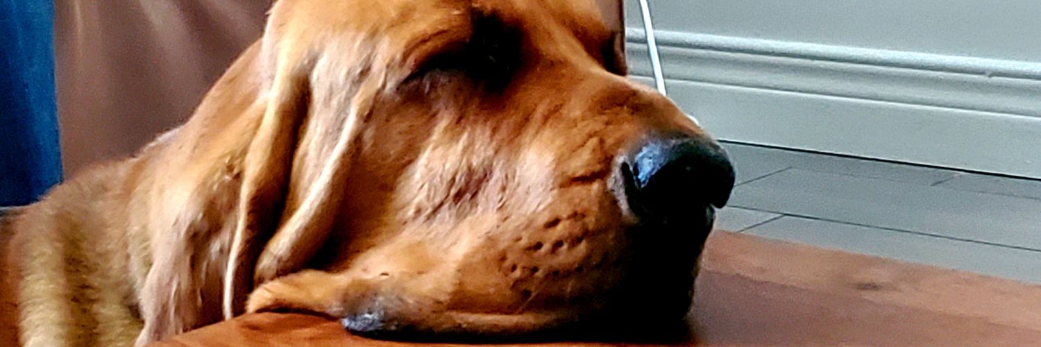 Emilie Filion banner