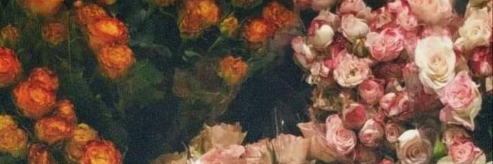 nonkhrist's profile banner image