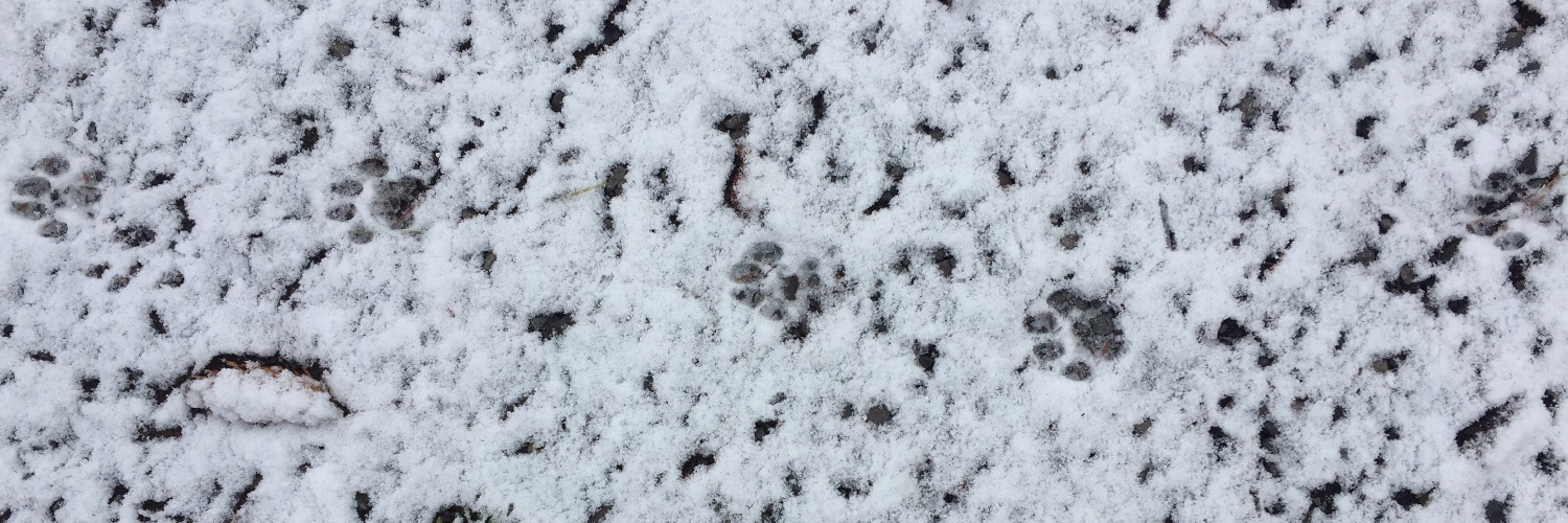 Fiera Biological banner