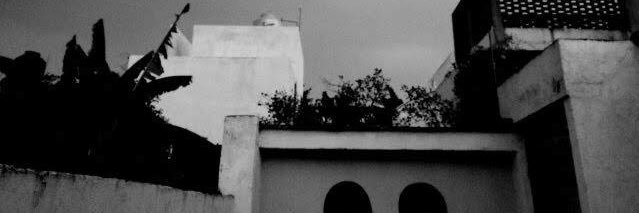 DaniTaylan's profile banner image