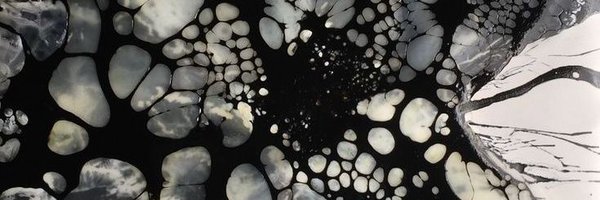 venompent4 Profile Banner