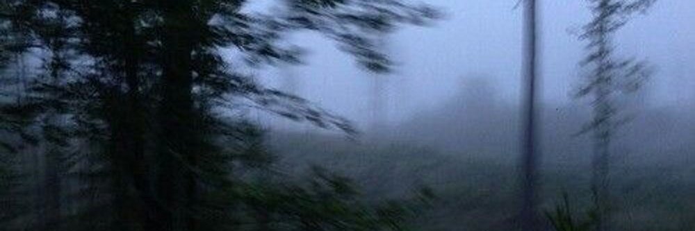 memphian_end's profile banner image